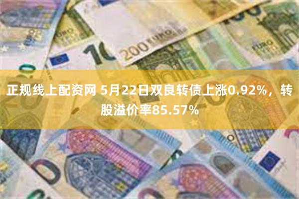 正规线上配资网 5月22日双良转债上涨0.92%，转股溢价率85.57%