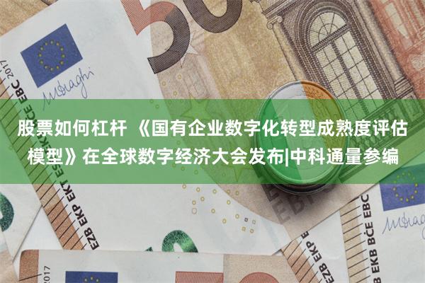 股票如何杠杆 《国有企业数字化转型成熟度评估模型》在全球数字经济大会发布|中科通量参编