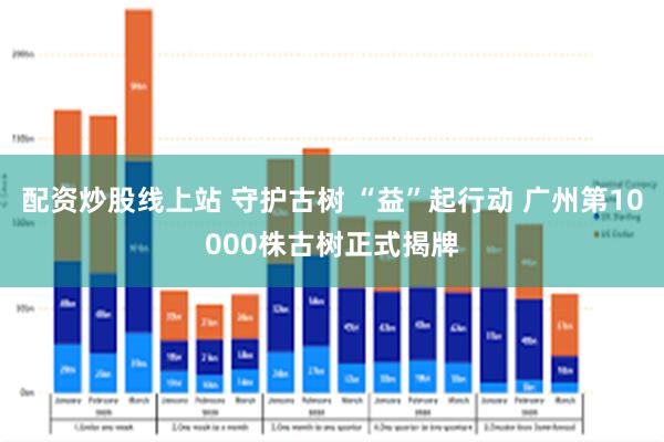 配资炒股线上站 守护古树 “益”起行动 广州第10000株古树正式揭牌