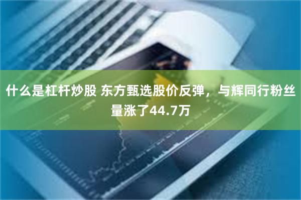 什么是杠杆炒股 东方甄选股价反弹，与辉同行粉丝量涨了44.7万