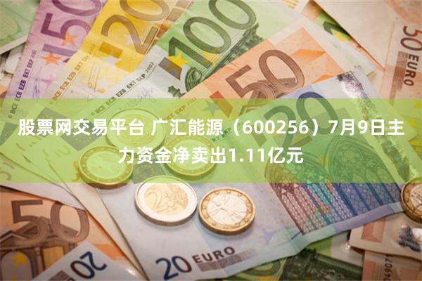 股票网交易平台 广汇能源（600256）7月9日主力资金净卖出1.11亿元