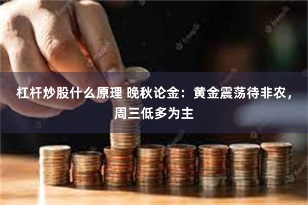 杠杆炒股什么原理 晚秋论金：黄金震荡待非农，周三低多为主