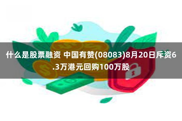 什么是股票融资 中国有赞(08083)8月20日斥资6.3万港元回购100万股