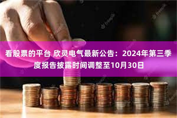 看股票的平台 欣灵电气最新公告：2024年第三季度报告披露时间调整至10月30日