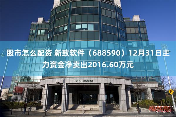 股市怎么配资 新致软件（688590）12月31日主力资金净卖出2016.60万元