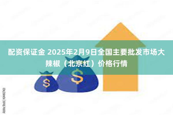 配资保证金 2025年2月9日全国主要批发市场大辣椒（北京红）价格行情